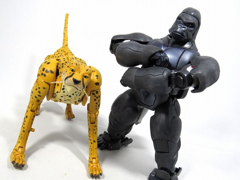 optimus primal and cheetor